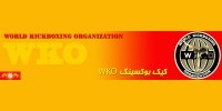 قزوین در سکوی نخست اولین دوره مسابقات قهرمانی کشور کیک بوکسینگ wko ایستاد 